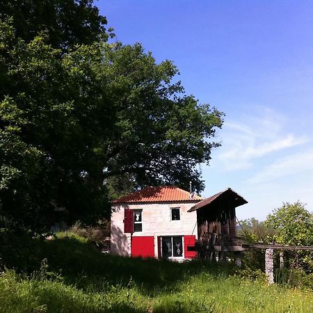 Eira Das Carvalhas Penafiel Εξωτερικό φωτογραφία