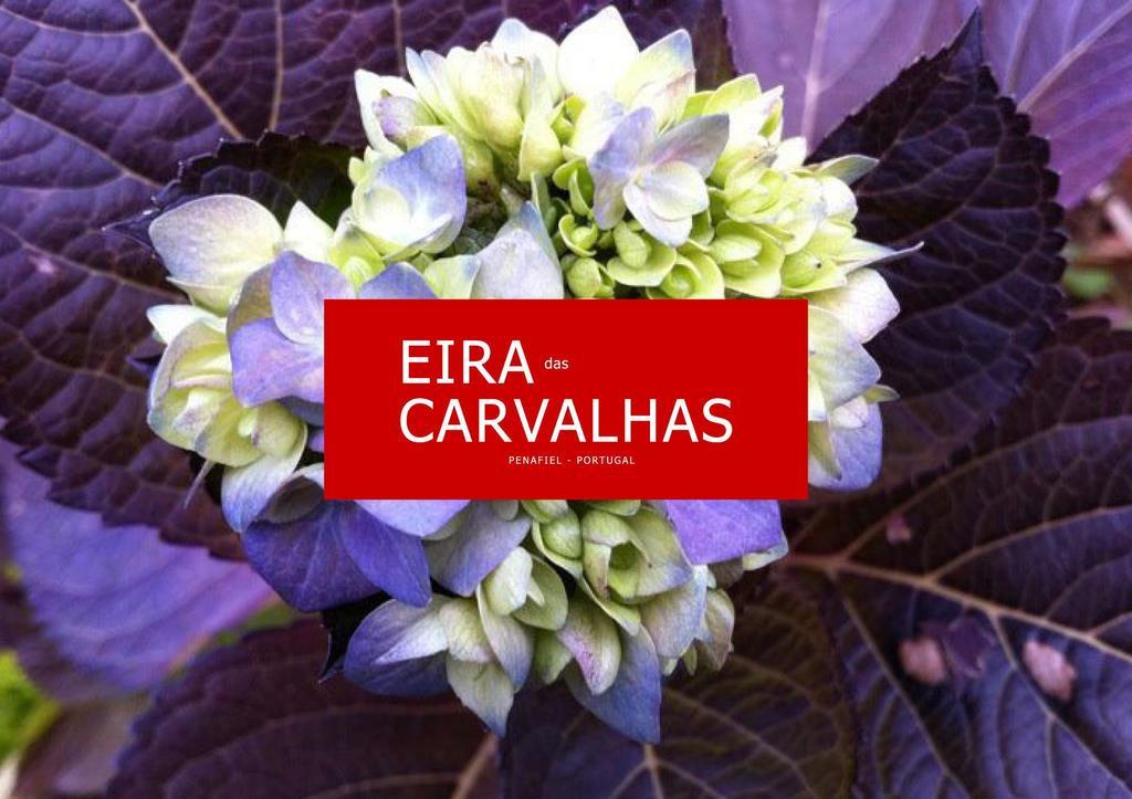 Eira Das Carvalhas Penafiel Δωμάτιο φωτογραφία