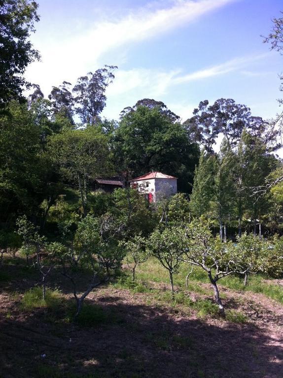 Eira Das Carvalhas Penafiel Δωμάτιο φωτογραφία